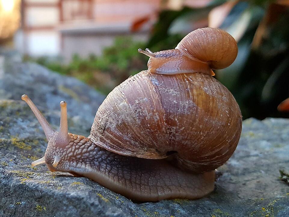 Die schönsten Frühlingsfotos aus Kronach und Umgebung
