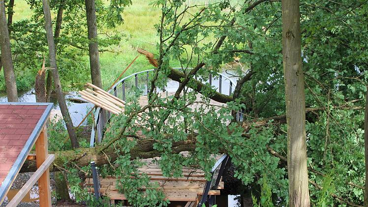 Schwere Schäden sind durch mindestens einen umgefallenen Baum an Plattform, Geländer und Informationshäuschen entstanden. Foto: Julia Raab