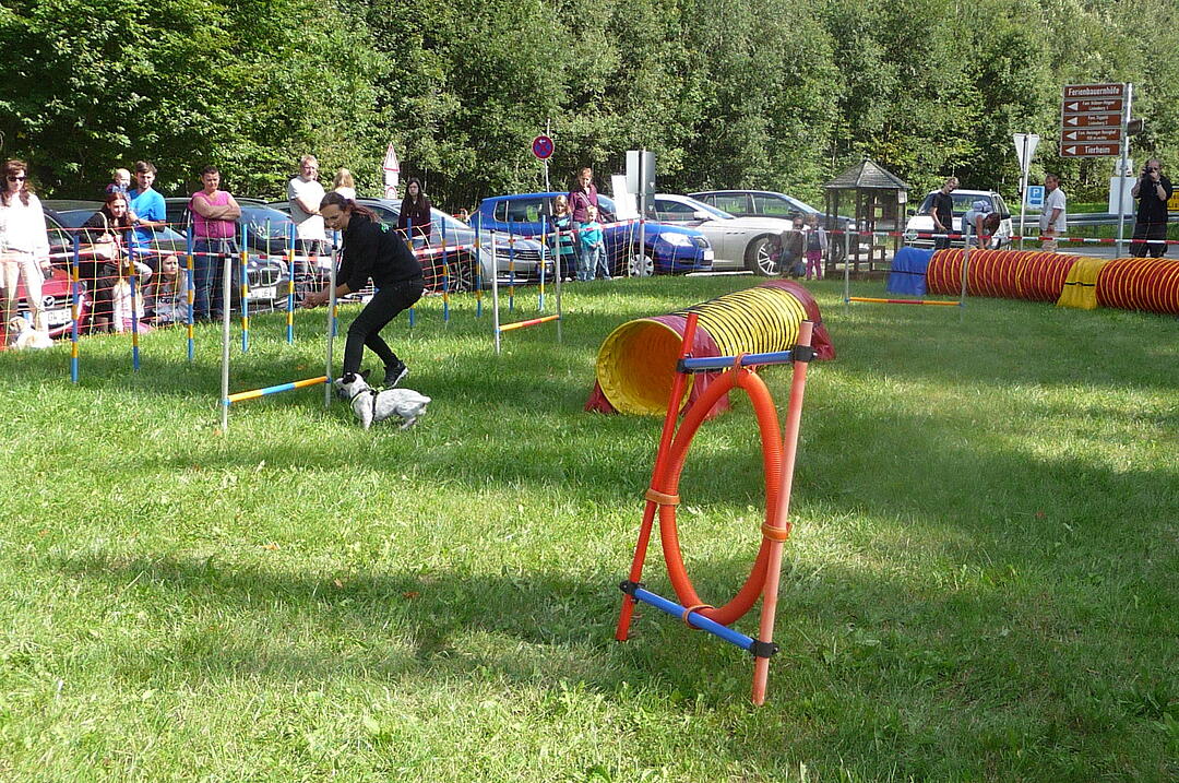19.8.2017 Tierheimfest Kulmbach