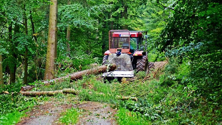 Schweres Gerät kommt bei den Arbeiten in Burkardroth zwar nicht zum Einsatz, dafür aber der gemeindliche Traktor. Foto: Kathrin Kupka-Hahn