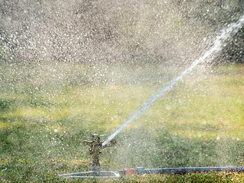 So ein Rasensprenger verbraucht ziemlich viel Wasser. Die Verwaltungsgemeinschaft Marktleugast appelliert an ihre Bürger, auf den Einsatz solcher Geräte in diesen heißen Wochen zu verzichten. Symbolbild Patrick Pleul/dpa