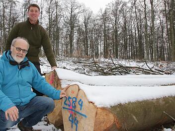 Förster Stefan Blumrich (hinten) und Bürgermeister August Weingart begutachten Buchenstämme, die auf einer der drei geplanten Windkraft-Standorte gefällt wurden. Jeweils ein Hektar sind die Löcher im Wald am "Bühnholz" groß. Foto: Ralf Ruppert