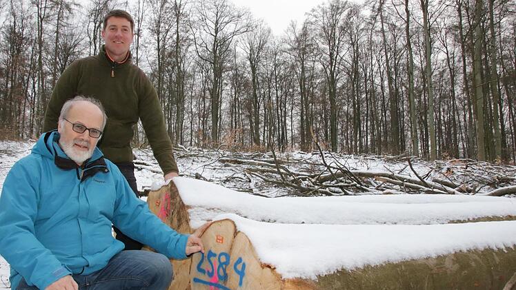 Förster Stefan Blumrich (hinten) und Bürgermeister August Weingart begutachten Buchenstämme, die auf einer der drei geplanten Windkraft-Standorte gefällt wurden. Jeweils ein Hektar sind die Löcher im Wald am "Bühnholz" groß. Foto: Ralf Ruppert