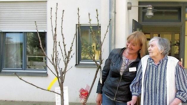 Auguste Tobiasch schaut sich den Kirschbaum an, der zu ihrem 100. Wiegenfest vor dem Alten- und Pflegeheim St. Elisabeth gepflanzt wurde. Foto: privat