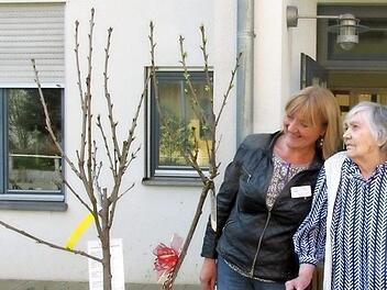 Auguste Tobiasch schaut sich den Kirschbaum an, der zu ihrem 100. Wiegenfest vor dem Alten- und Pflegeheim St. Elisabeth gepflanzt wurde. Foto: privat