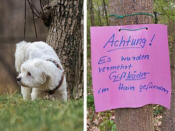 Bamberg: Giftköder-Warnung im Bamberger Hain - Stadt und Polizei äußern sich Bamberg: Giftköder-Warnung im Bamberger Hain - Stadt und Polizei äußern sich