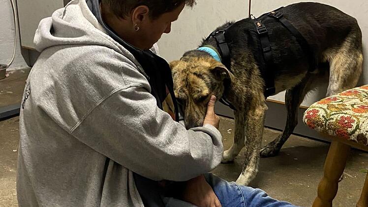 Zapfendorf: Entlaufener Hund Christo nach rund vier Monaten entdeckt - "Happy End"