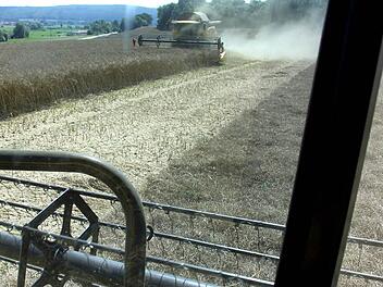 Die Getreidefelder, wie hier ein Rapsacker bei Sendelbach, sind mittlerweile komplett abgedroschen. Foto: Ralf Kestel