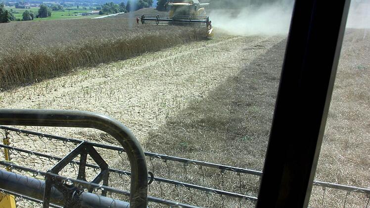 Die Getreidefelder, wie hier ein Rapsacker bei Sendelbach, sind mittlerweile komplett abgedroschen. Foto: Ralf Kestel