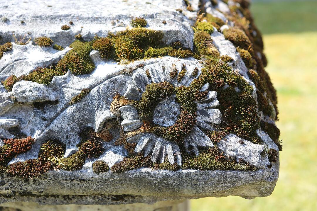 Klosterlangheim; Lankreis Lichtenfels; Foto: Barbara Herbst