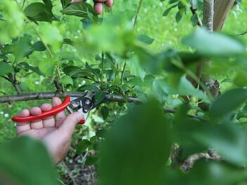 Gartenarbeit als Erholung? Das funktioniert, meint unsere Burggeflüster-Autorin. Foto: Barbara Herbst