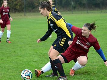 Der SV Hetzles (rot Trikots) hatte bei einer 2:0-Führung gegen den SC Adelsdorf schon alles im Griff, nutzte seine vielen Chancen aber nicht und teilte in der Kreisliga-Partie beim 2:2 noch die Punkte. Foto: herzopress