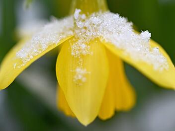 Ein kalter Fr&uuml;hlingsbeginn 2018. Symbolbild:   Caroline Seidel/dpa