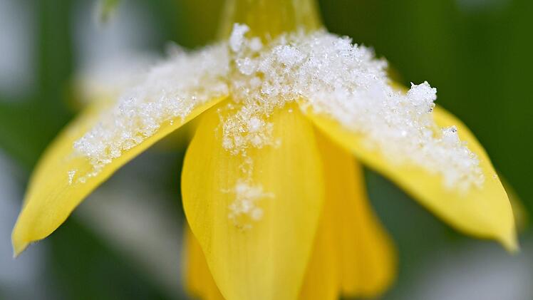 Ein kalter Fr&uuml;hlingsbeginn 2018. Symbolbild:   Caroline Seidel/dpa
