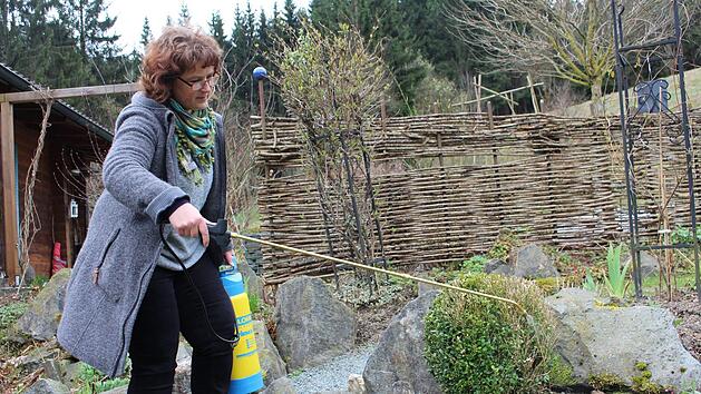 Damaris Schmitt spr&uuml;ht die Buchsb&auml;ume gro&szlig;z&uuml;gig mit einer Mischung ein, damit sie sich erholen k&ouml;nnen. Foto: Lisa Kieslinger