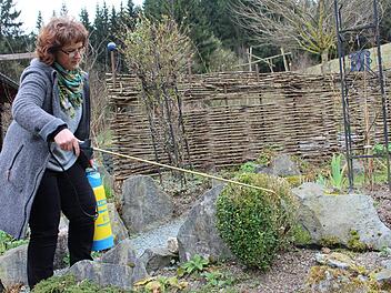 Damaris Schmitt sprüht die Buchsbäume großzügig mit einer Mischung ein, damit sie sich erholen können. Foto: Lisa Kieslinger