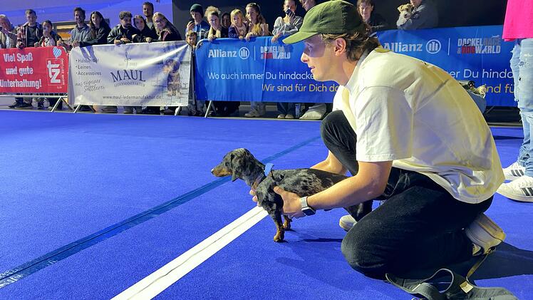 Hundemesse &laquo;DogWorld&raquo; mit Dackelrennen