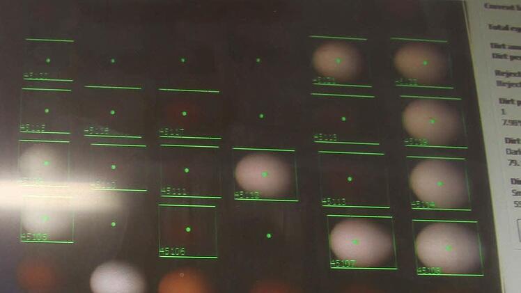 Jedes Ei wird fotografiert und analysiert: Pro Sekunde kann die Maschine bis zu 35 Bilder aufnehmen - die Eier bekommen dann Nummern und die Nummern werden in die entsprechenden Kartons einsortiert.  Foto: Sonja Adam