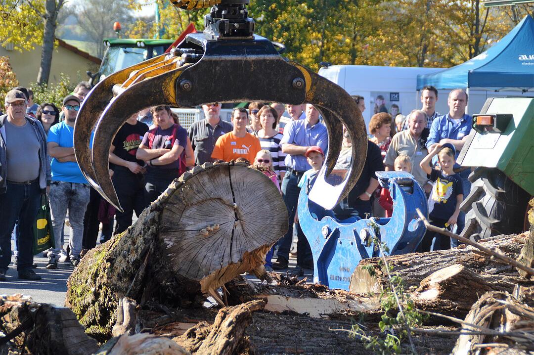 Holztag Scheinfeld 2017