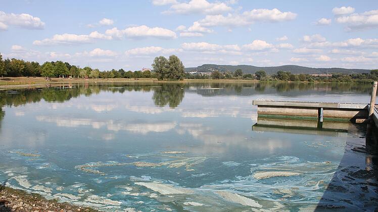 Durch die langanhaltende Hitzeperiode sind die Cyanobakterien wieder da. Wegen der Blaualgenplage herrscht Badeverbot. Foto: Sonny Adam