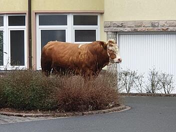 Foto: Jochen Schick