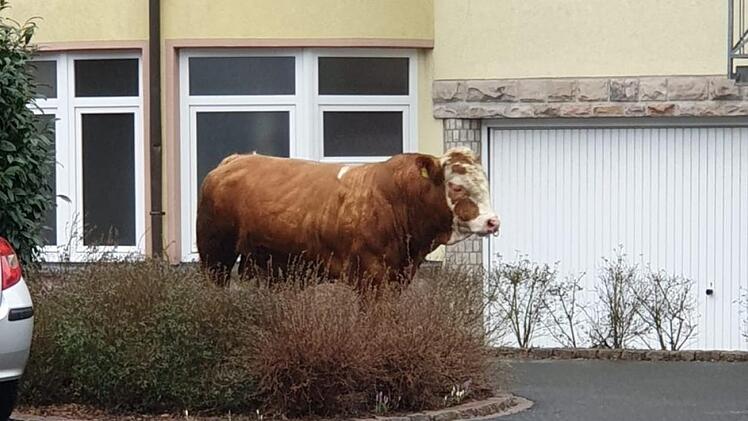 Foto: Jochen Schick
