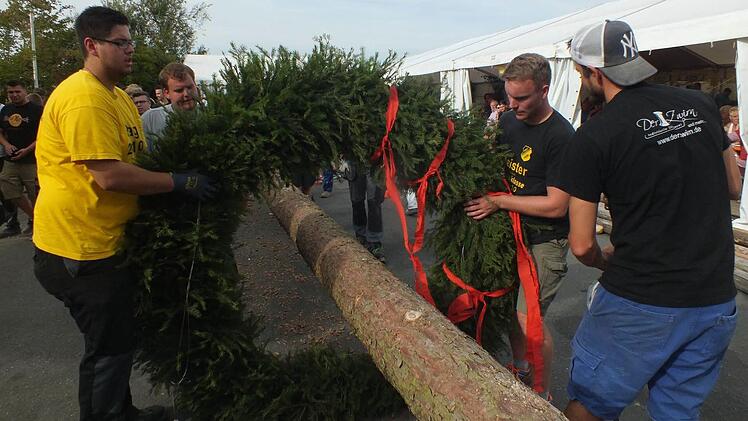 Die Ortsburschen mussten all ihre Kraft aufbieten, um den Kerwasbaum aufzustellen. Foto: Manfred Welker