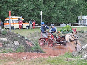 Im Heßdorfer Ortsteil Klebheim fanden am Samstag die Bayerischen Meisterschaften der Einspänner statt. Foto: Roland Meister