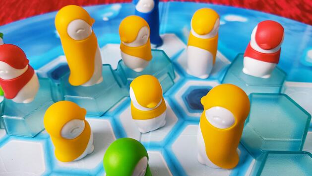 Kuschel-Kolonien im Test - knuffiges Kinder-Brettspiel mit Pinguinfamilien