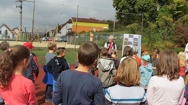 Foto: Doris Bauer