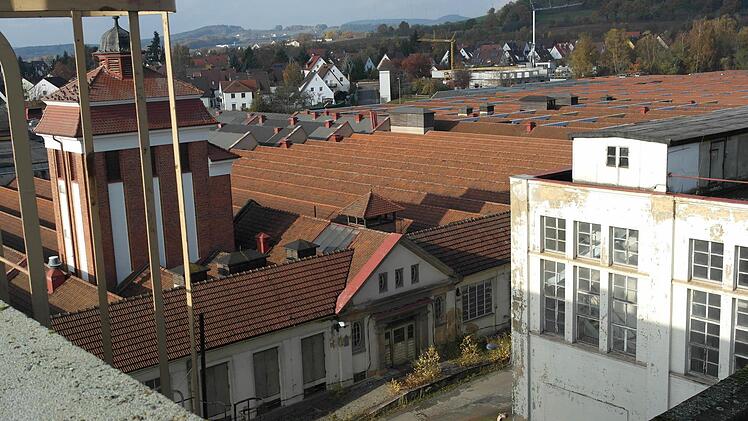 Die riesige Dachlandschaft der Industriebrache ist beeindruckend.