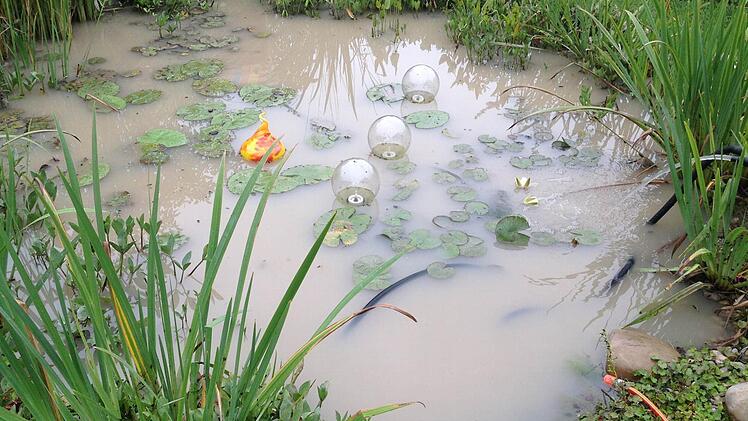 Foto: Jürgen Gärtner