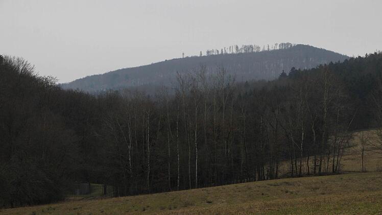 Auf dieser Wiese in Wernarz soll ein Baugebiet erschlossen werden. Im Hintergrund: Der Dreistelz. Foto: Ulrike Müller