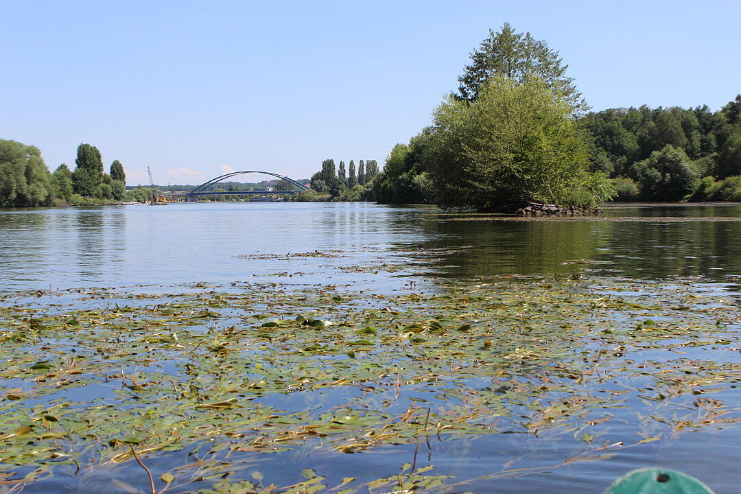 Kanutour auf dem Altmain