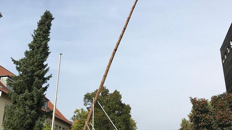 Nur gemeinsam kann der Baum aufgestellt werden.