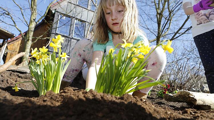 Blumen pflanzen mit den Garten- und Blumenfreunden Katschenreuth-Frankenberg Foto: Matthias Hoch