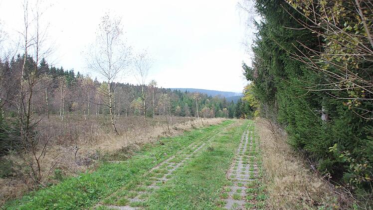Der Kolonnenweg. Rechts der Wald auf Thüringer Terrain, links der ehemalige Todesstreifen, ganz links der Frankenwald. Foto: Friedwald Schedel