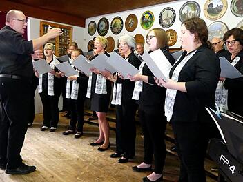 Der Gesangverein Hutschdorf mit Dirigent Hans Georg Busch bei der Sommerserenade im Thurnauer Schützenhaus. Foto: Dieter Hübner