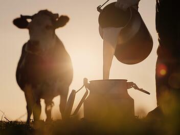 Ist die Kuh glücklich, gibt sie bessere Milch, wird behauptet. Doch liegt das nur am Futter? Foto: StockMediaProduction, Adobe Stock