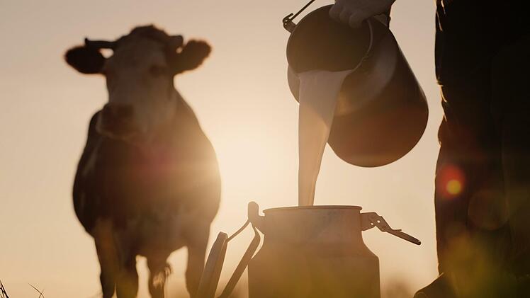 Ist die Kuh glücklich, gibt sie bessere Milch, wird behauptet. Doch liegt das nur am Futter? Foto: StockMediaProduction, Adobe Stock