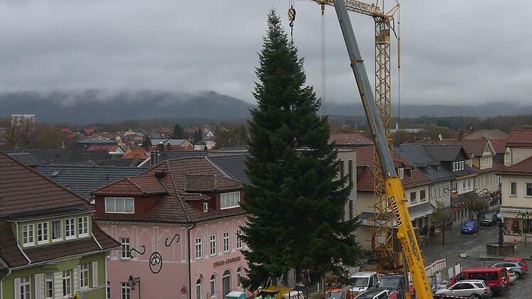 Auf dem Neustadter Marktplatz ist am Donnerstag der Weihnachtsbaum aufgestellt worden. Foto: Berthold Köhler