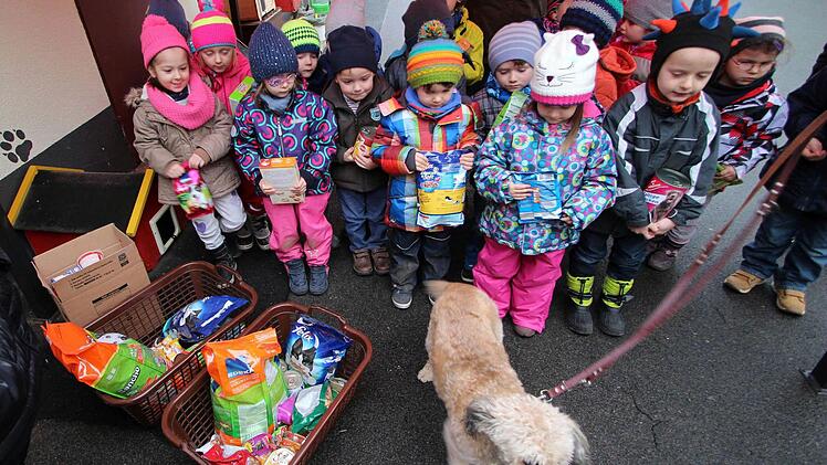 Jede Menge Futter brachten die Kinder mit ins Tierheim.  Foto: Dieter Britz