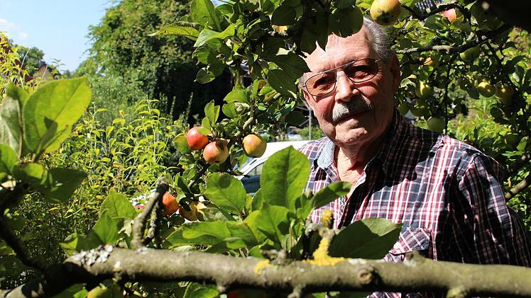 Manfred Gliese weiß, was man jetzt mit einem Apfelbaum machen muss. Foto: Franziska Knobloch