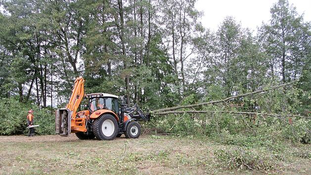 Am M&uuml;hlbach in Steinach wurde etwa 30 bis 40 gef&auml;hrdete Starkb&auml;ume auf eine H&ouml;he von 20 cm gek&uuml;rzt. Foto: Stefanie Tapprogge