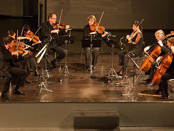 Als Finale musizierten die Mitglieder der Bamberger Symphonie das Streichoktett Es-Dur von Felix Mendelssohn Bartholdy. Foto: Barbara Herbst