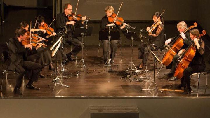 Als Finale musizierten die Mitglieder der Bamberger Symphonie das Streichoktett Es-Dur von Felix Mendelssohn Bartholdy. Foto: Barbara Herbst