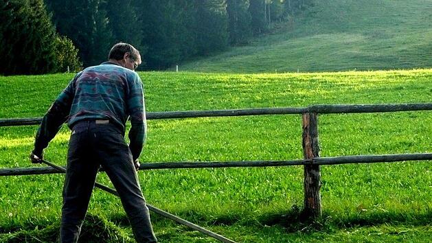 Beim M&auml;hen mit der Sense gilt es einige Tipps zu beachten, damit es langfristig Freude macht. Bild: pixabairis/pixabay.com