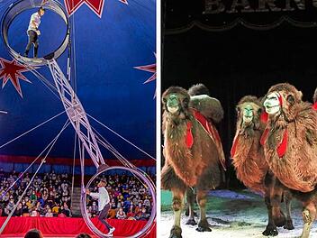 Nürnberg: Weihnachtscircus kehrt in Metropolregion zurück - "Spannung pur"
