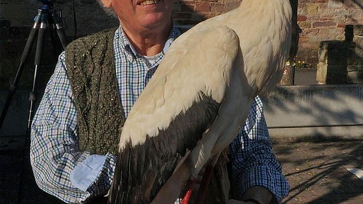 Vogelexperte Jochen Willecke von Bund Naturschutz brachte einen ausgestopften Storch mit.