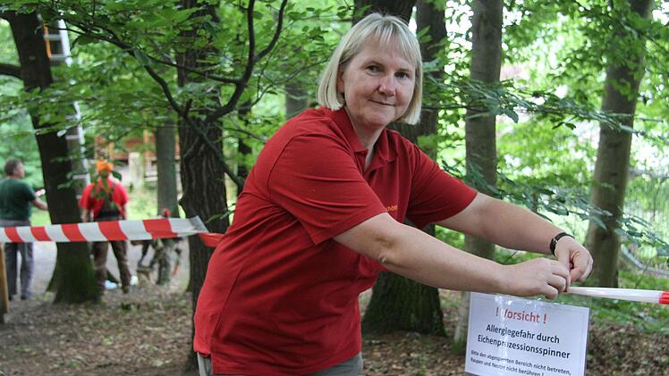 Stadtf&ouml;rsterin Carmen Hombach spricht von einer explosionsartigen Vermehrung der gef&auml;hrlichen Raupen. Rund 10.000 Euro hat die Stadt Kulmbach f&uuml;r die Bek&auml;mpfung ausgegeben.Sonny Adam